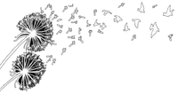 Atron Bestattungen, Der Gute Bestatter, Bestatter Berlin, Ron Dietze, Beerdigung Berlin, Pusteblume